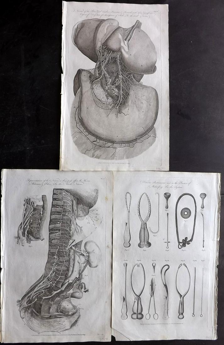 Hall, William 1791 Lot of 3 Folio Medical Prints (1 of 2)