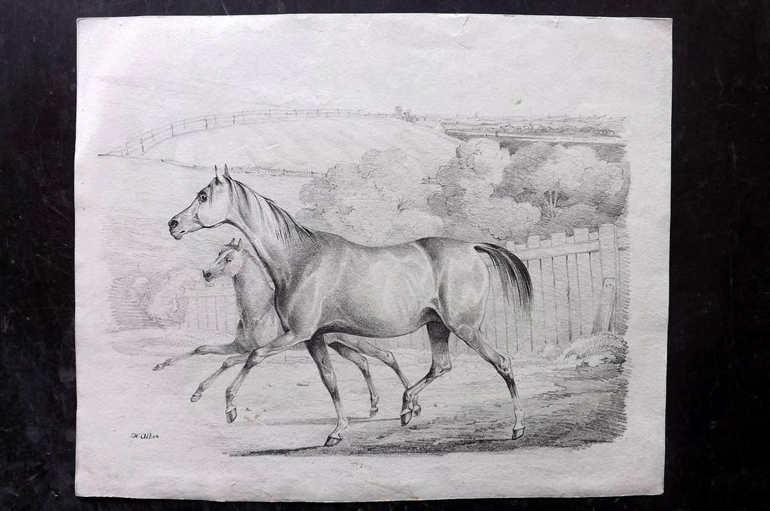 Alken, Henry C1810 Soft Ground Etching of a Horse (1 of 2)