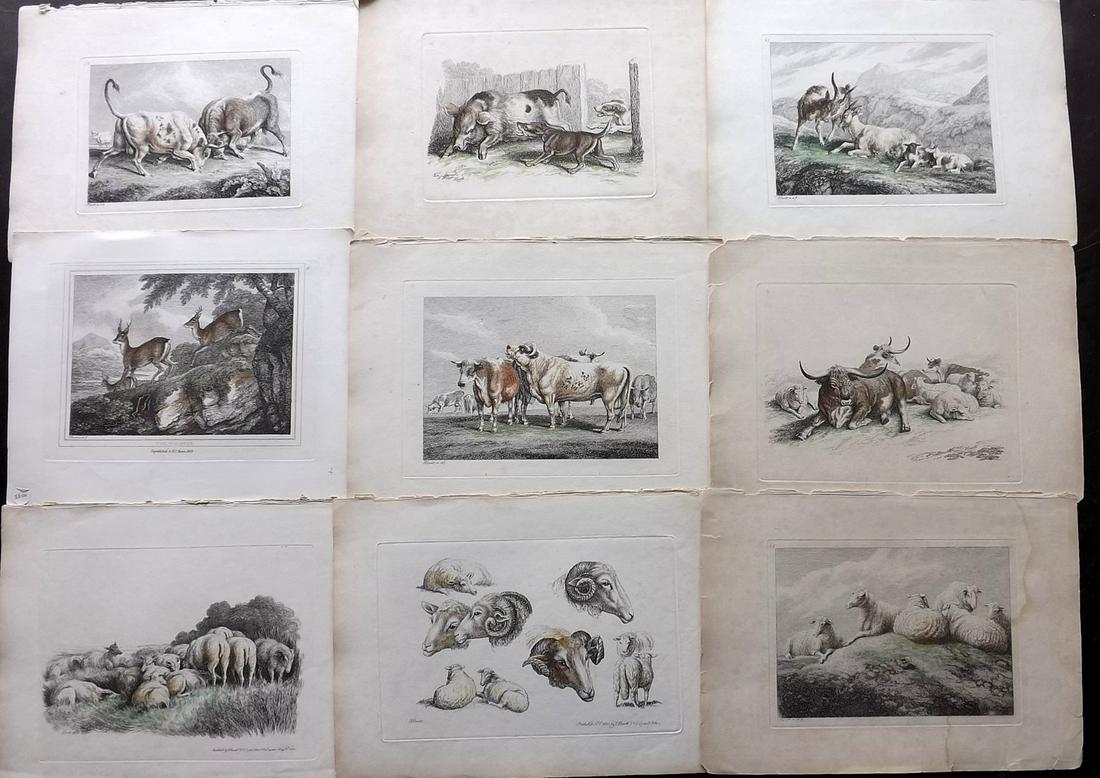 Howitt, Samuel C1815 Lot of 21 Hand Col Etchings (1 of 3)