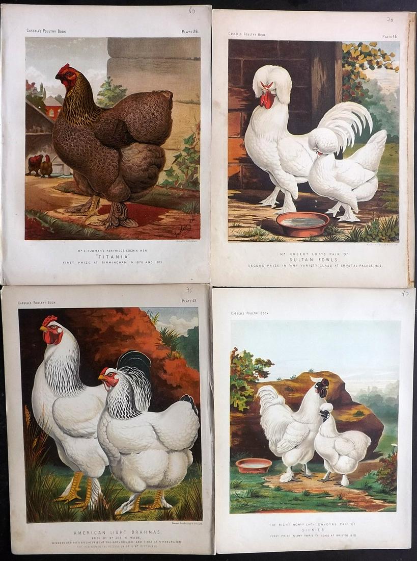 Ludlow & Wright C1880 Lot of 4 Poultry Prints. Cassell (1 of 2)