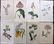 Curtis, William C1790 Lot 8 Hand Col Botanical Prints