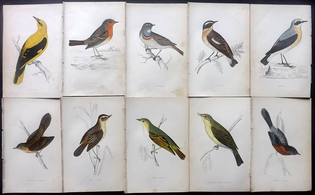 Morris, Francis 1867 Lot of 10 Hand Col Bird Prints: Woodblocks Published 1863-67, London for "A History of British Birds" by the Rev. Franis Orpen Morris. Printed in colours and finished by Benjamin Fawcett. Paper Size: 7 x 5 inch (18 x 13cm) Some back