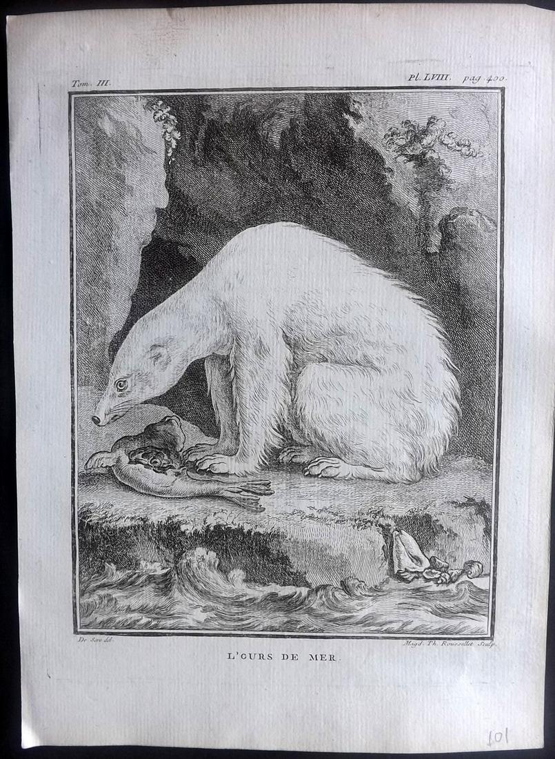 Buffon, Comte de C1770 Copper Plate of a Polar Bear: Copper Plate Published 1749-88 Imprimerie Royale, Paris for "Histoire naturelle, générale et particulière" First Edition by Georges-Louis Leclerc, Comte de Buffon. Paper Size: 10 x 8 inch (26 x 20c