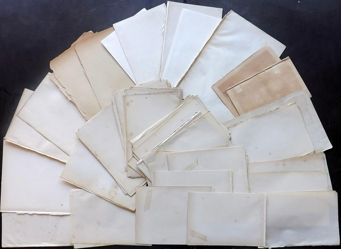 Old Paper, Bookbinding 19th Cent. Lot of 100 Sheets (1 of 2)