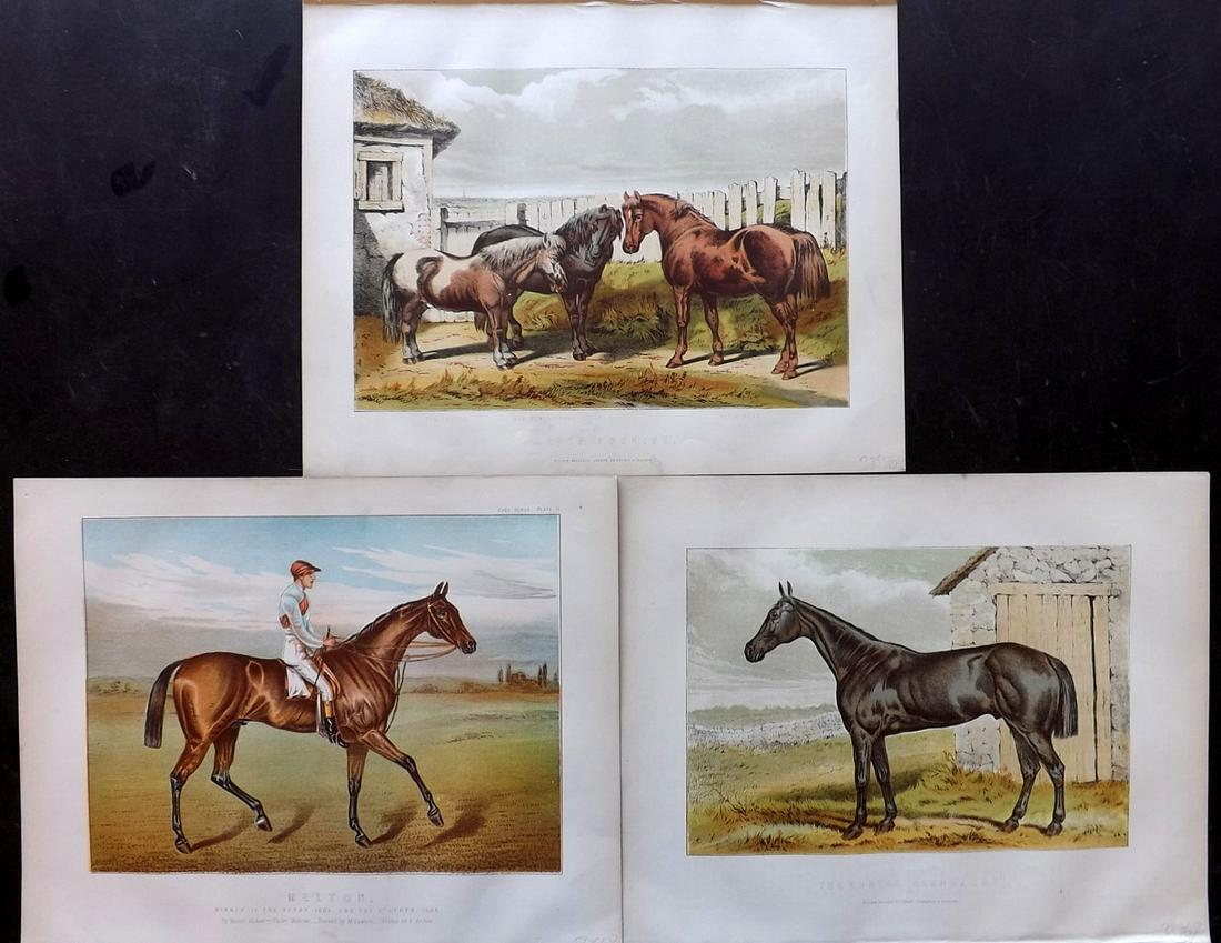 Miles, W. J. C1890 Lot of 3 Horse Prints (1 of 2)