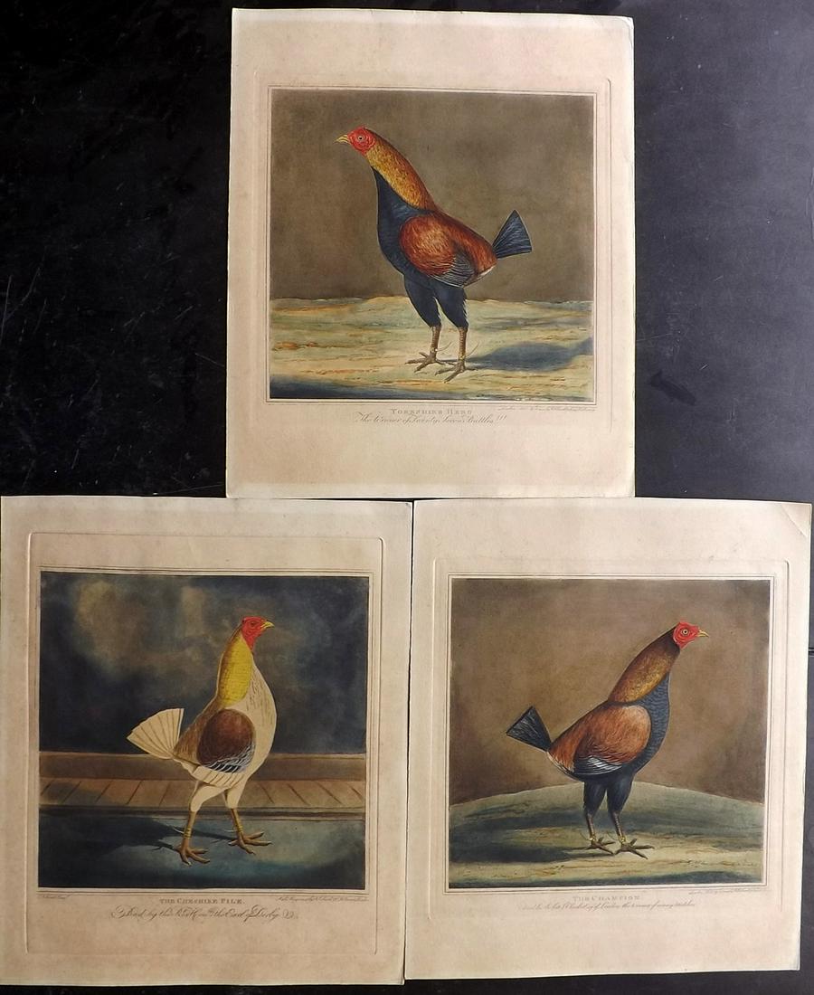 J & R Pollard 1826 Lot of 3 Rare HCol Cockfighting (1 of 2)