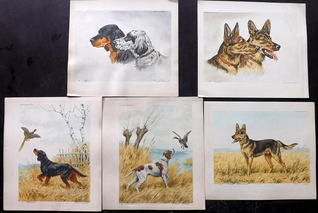 Wood, Paul C1935 Lot of 5 Signed Dog Etchings (1 of 2)