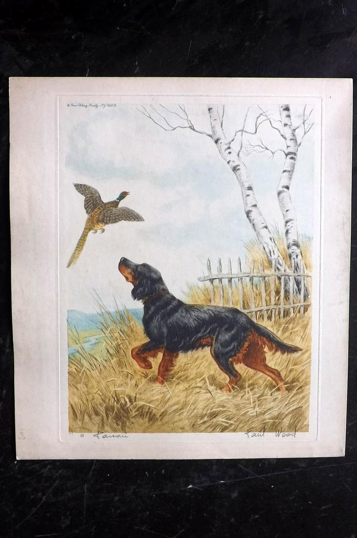 Wood, Paul C1935 Signed Dog Etching. Faisan (1 of 1)