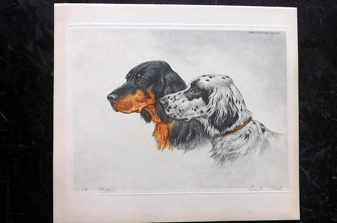 Wood, Paul C1935 Signed Dog Etching. Setters (1 of 1)