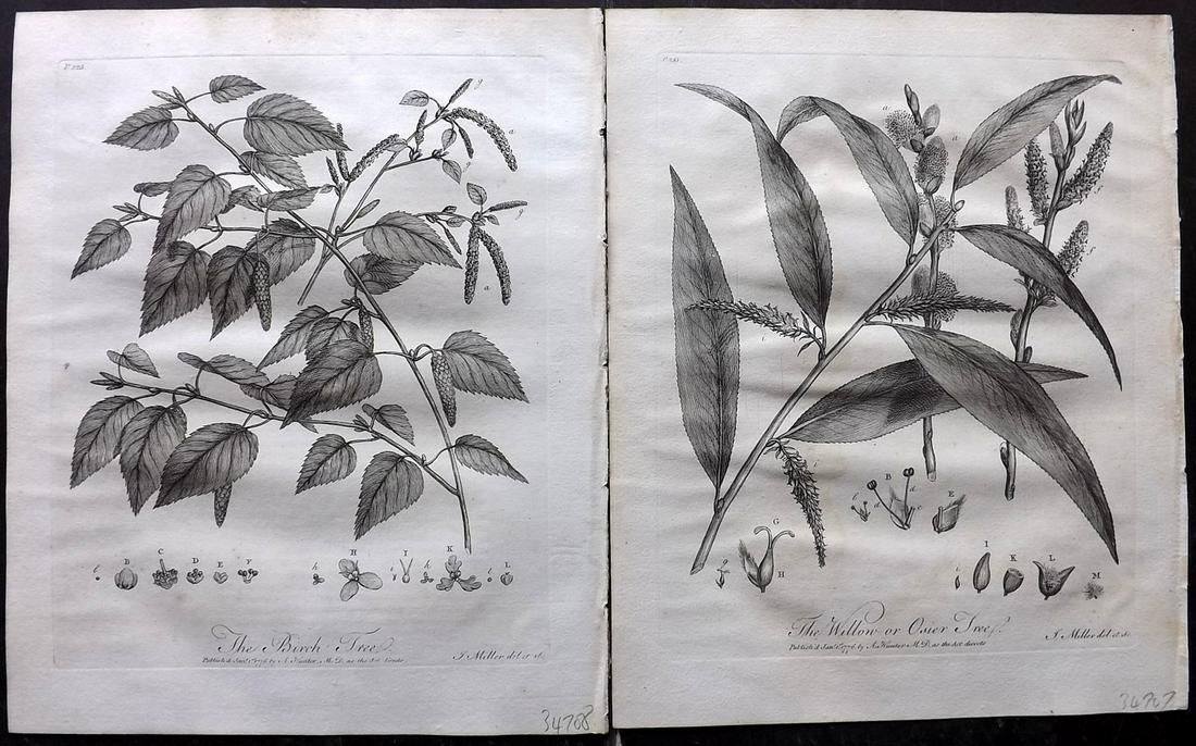 Evelyn, John 1786 Pair of Botanical Prints. Trees (1 of 2)