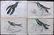 Jardine, William C1840 Lot of 4 HC Hummingbird Prints