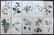 Hogg & Johnson C1870 Lot of 10 HCol Botanical Prints