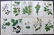 Hogg & Johnson C1870 Lot of 10 HCol Botanical Prints