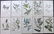 Hogg & Johnson C1870 Lot of 10 HCol Botanical Prints