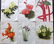 The Garden 1898 Lot of 6 Botanical Prints