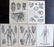 Encyclopaedia Britannica 1878 Lot of 5 Anatomy Prints