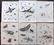 Rees, Abraham C1810 Lot of 6 Insect Prints