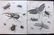 Rees, Abraham C1810 Lot of 6 Insect Prints - 2