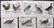 Jardine, William C1840 Lot of 8 Hand Col Bird Prints
