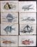 Jardine, William C1840 Lot of 8 Hand Col Fish Prints