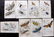 Jardine, William C1840 Lot of 8 Hand Col Prints.