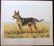 Wood, Paul C1935 Signed Dog Etching. Berger Allemand