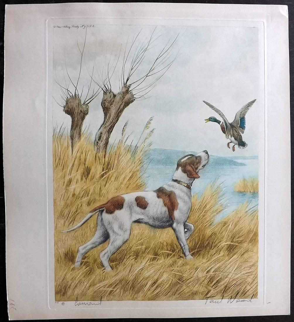 Wood, Paul C1935 Signed Dog Etching. Canard (1 of 2)