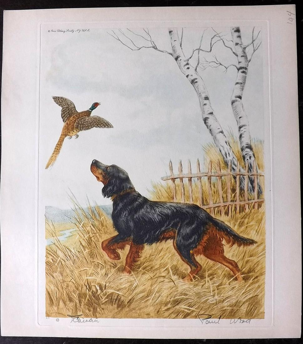 Wood, Paul C1935 Signed Dog Etching. Faisan (1 of 2)