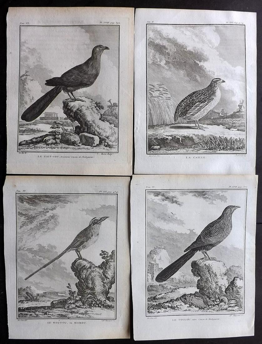 Buffon, Comte de C1770 Lot 4 First Edition Bird Prints (1 of 2)