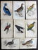 Jardine, William C1840 Lot of 8 Hand Col Bird Prints