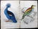 Jardine, William C1840 Lot of 8 Hand Col Bird Prints - 2