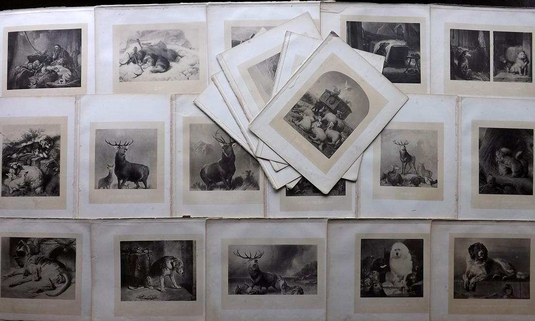 Landseer, Edwin 1876 Lot of 21 Folio Animal Prints: Heliotypes Published 1876, Boston for "Engavings from Landseer" Illustrated after Edwin Landseer. Paper Size: 14 x 11 inch (36 x 28cm) A couple with tears, otherwise fine