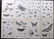 National Encyclopedia C1875 Lot 8 Insects, Butterflies