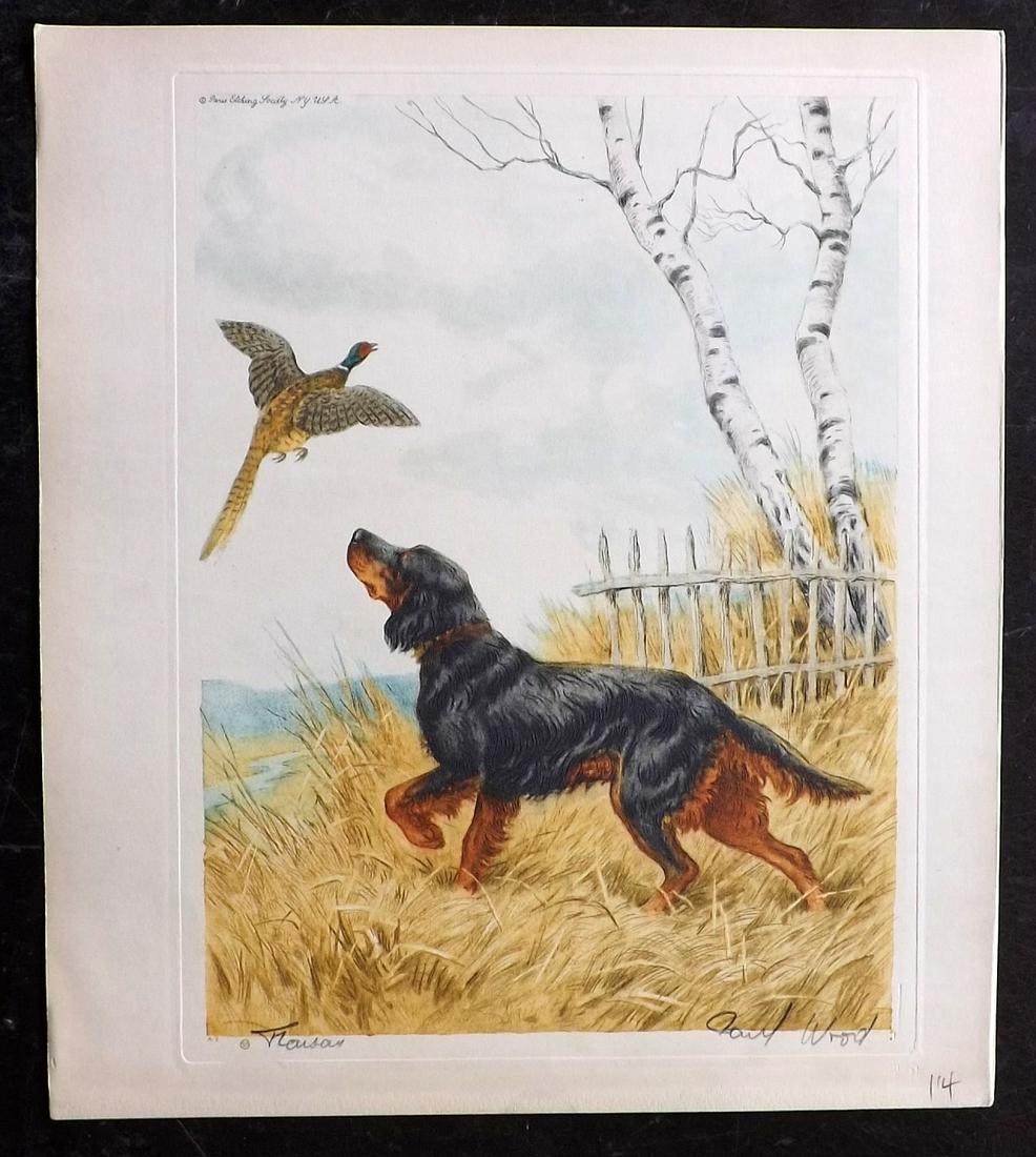 Wood, Paul C1935 Signed Dog Etching. Faisan (1 of 2)