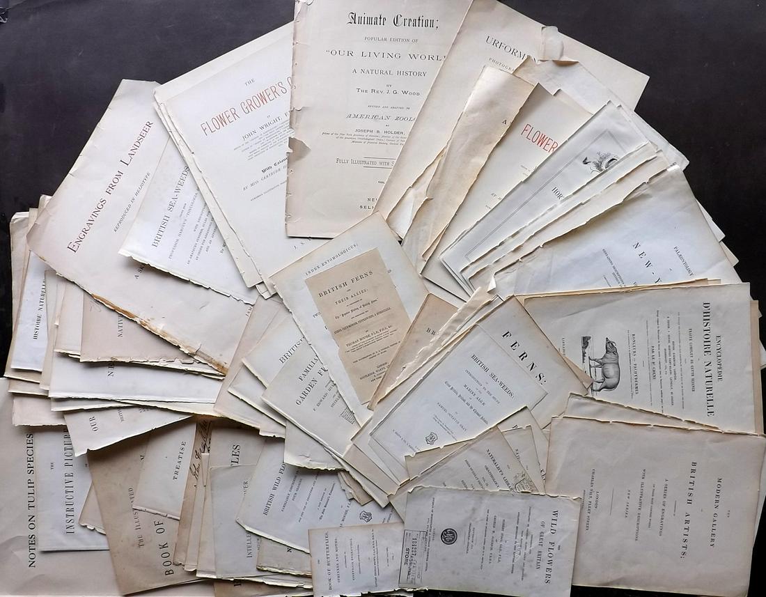 Title Pages 19th Cent. Lot of 125 (1 of 6)