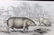 Jardine, William C1840 Lot of 3 Hand Col Prints. Pigs - 2