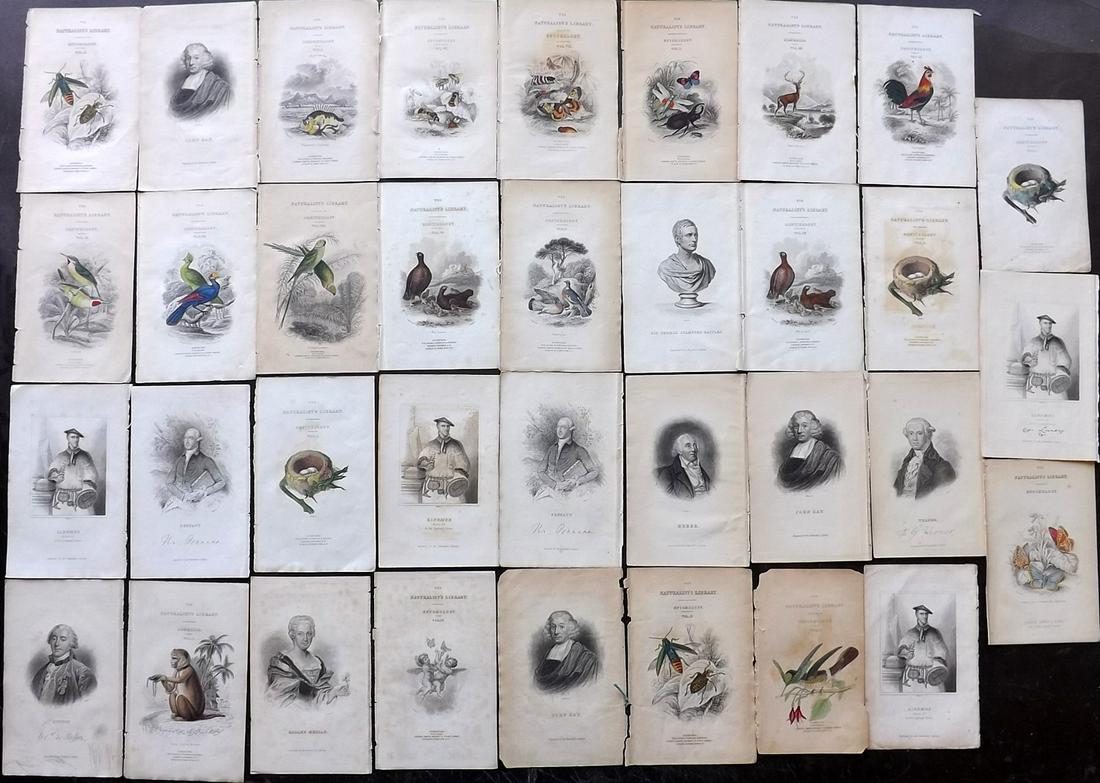 Jardine, William C1840 Lot of 35 Titles and Portraits (1 of 2)