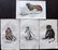 Jardine, William C1840 Lot of 4 Hand Col Prints Monkeys