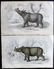 Jardine, William C1840 Pair of Hand Col Rhino Prints