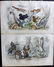 Goldsmith, Oliver 1866 Lot of 7 Hand Col Animal Prints - 2
