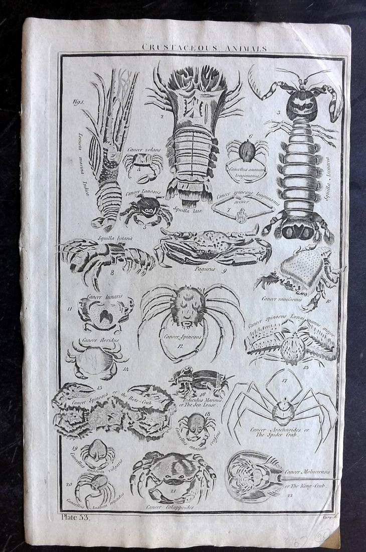 Howard, George 1796 Folio Print. Crabs Prawn Lobster (1 of 2)