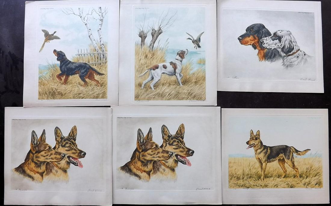 Wood, Paul C1935 Lot of 6 Signed Dog Etchings (1 of 2)