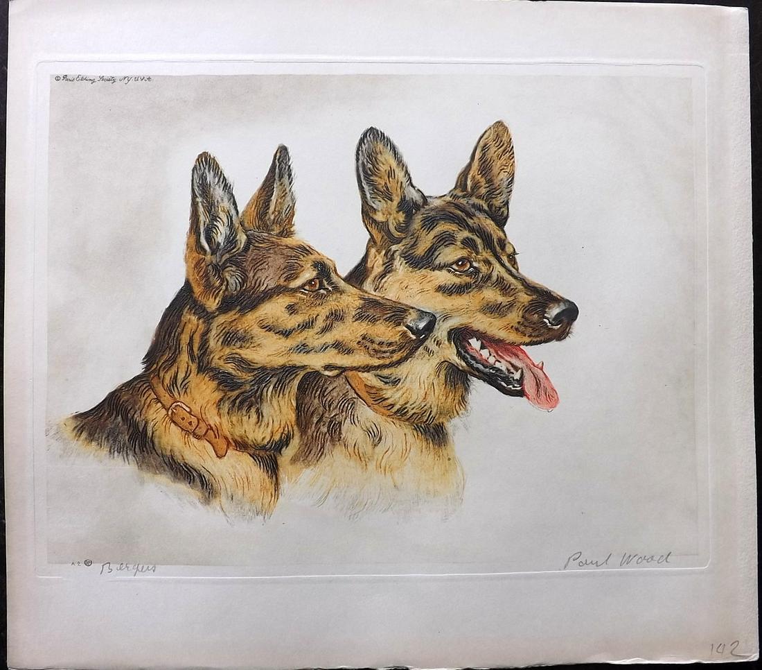 Wood, Paul C1935 Signed Dog Etching. Bergers (1 of 2)