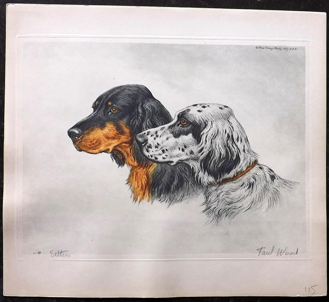 Wood, Paul C1935 Signed Dog Etching. Setters (1 of 2)