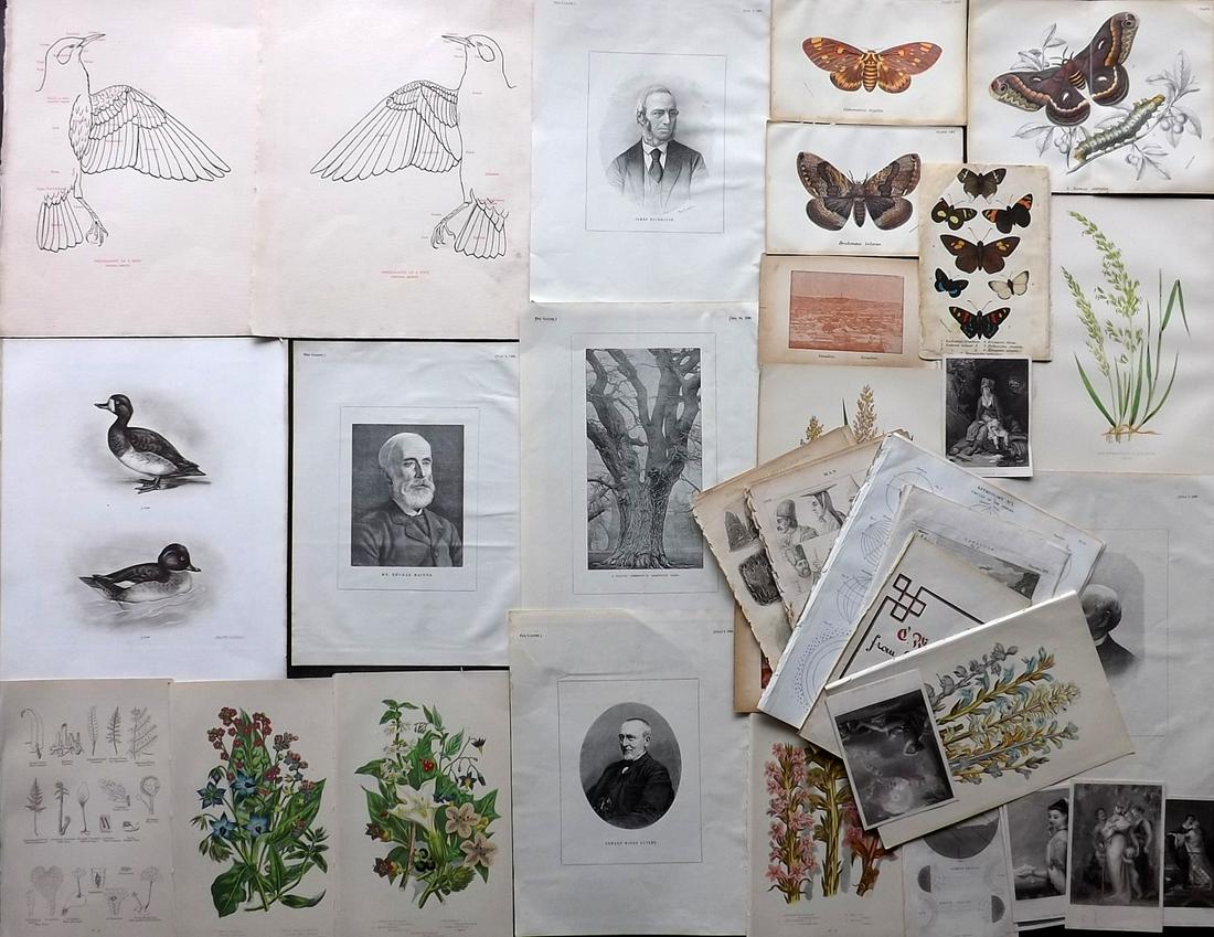 Mixed Prints 19th Cent. Lot of 40 Antique Prints (1 of 6)