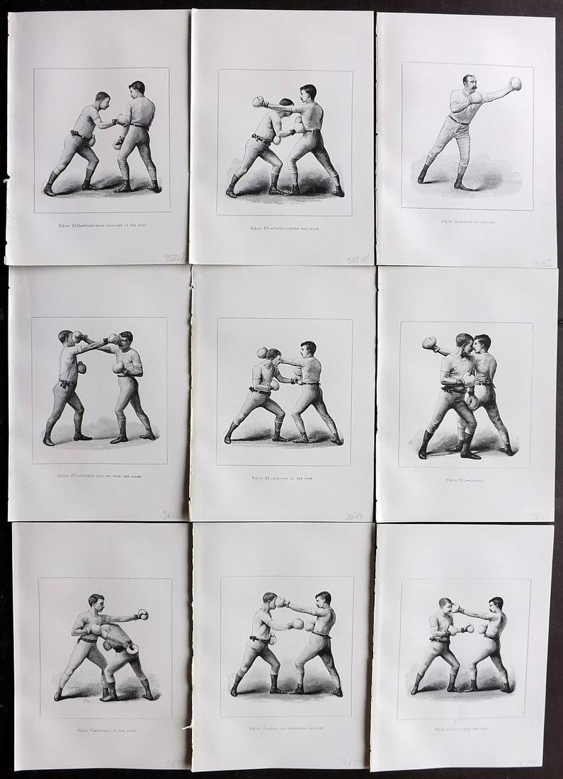 Boxing  1901 Lot of 9 Prints. Badminton Library (1 of 2)