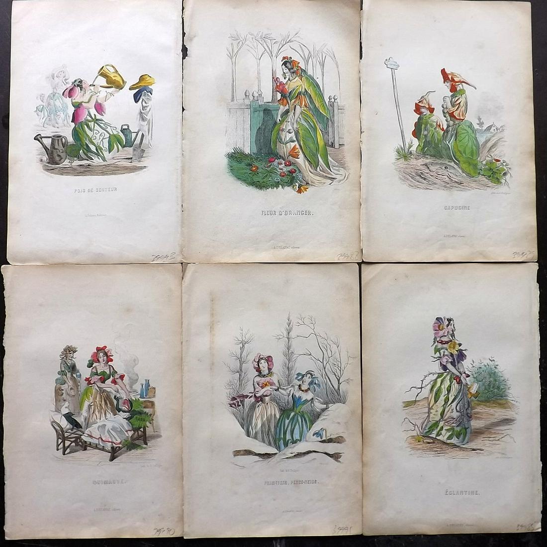 Grandville, J. J. 1852 Lot of 6 Hand Col Animal Flowers (1 of 2)