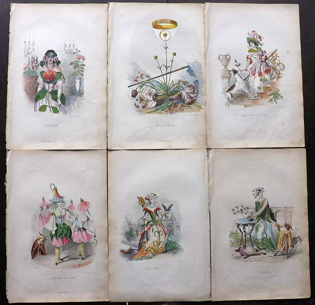 Grandville, J. J. 1852 Lot of 6 Hand Col Animal Flowers (1 of 2)