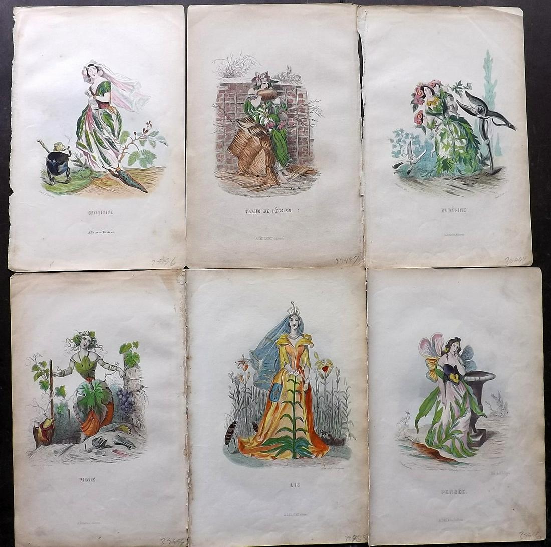 Grandville, J. J. 1852 Lot of 6 Hand Col Animal Flowers (1 of 2)