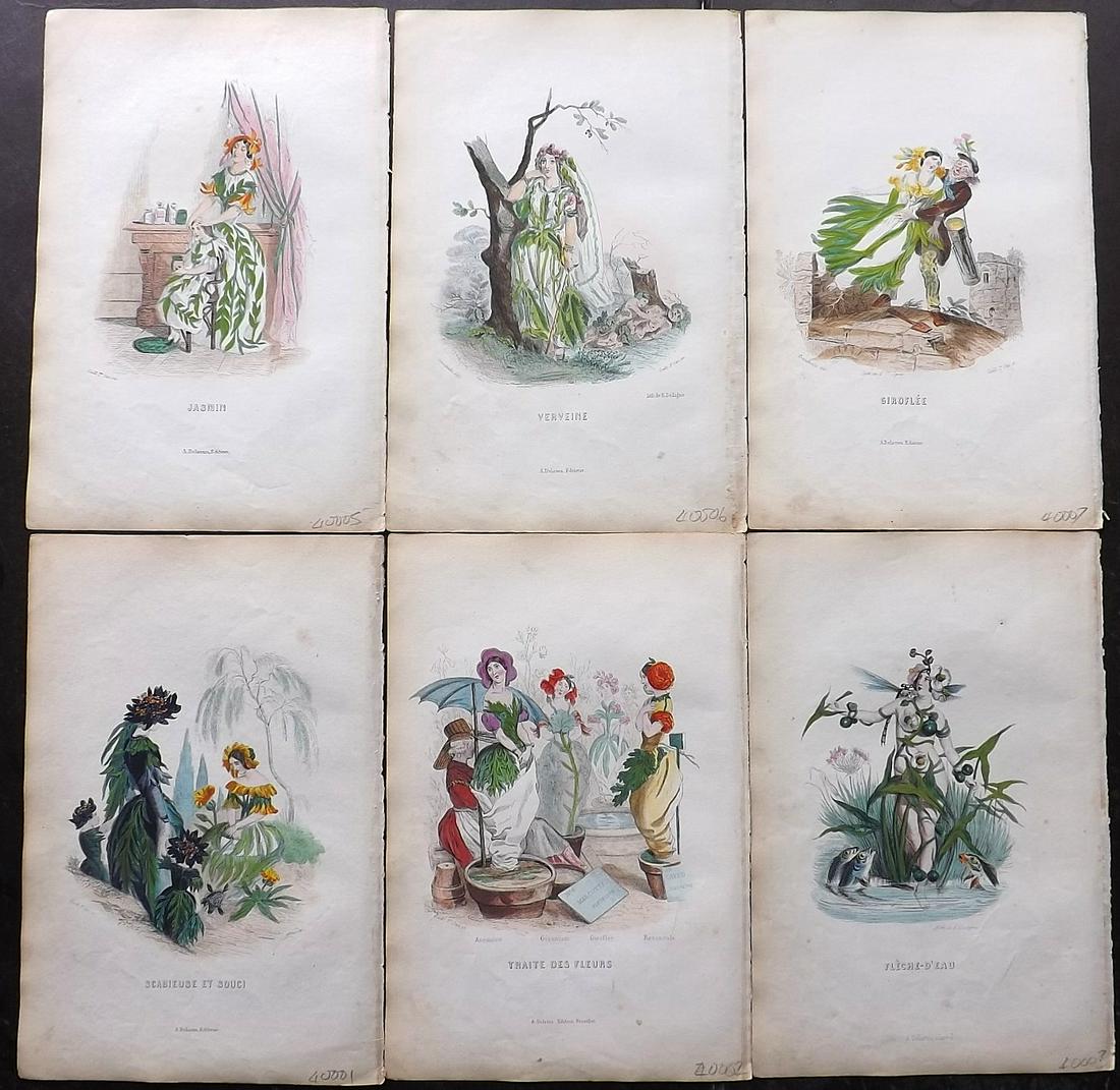 Grandville, J. J. 1852 Lot of 6 Hand Col Animal Flowers (1 of 2)